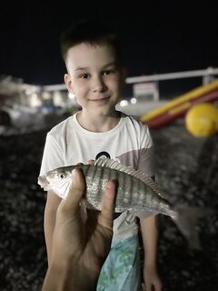 Кабардинка онлайн: сын в плюсе, я в нулях — подтяну технику