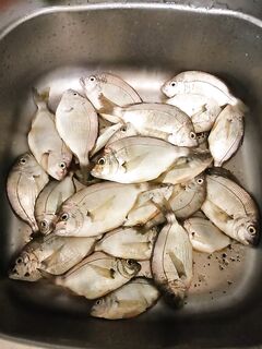 Жара днём: отводной, тонущая бомбарда и тиролька спасли настроение