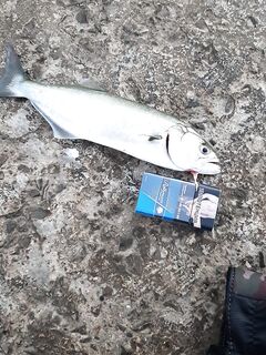 Пауза без текста — короткий выход и домой