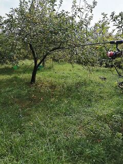 Статика 262 г на палке до 9 г: фото показало «колышек»