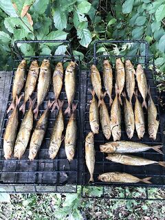 Готово: задачи по снастям и плану закрыты