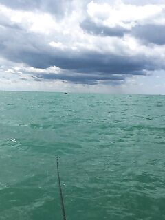 С 6 до 13 с лодки: воблер и пилькер — ноль, самодуром доверху кан за 1,5 часа