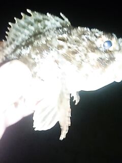 Вечер с 20 до 23: малька тьма у бун, резина ловит, пилькеры молчат