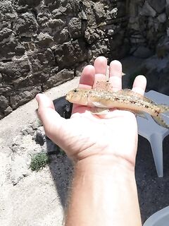 Короткая пометка без сюжета: где локация и на что планируете делать акцент завтра?