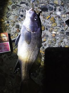 Вечерний штрих: один горбылик уверенно сел и вывел меня на береговую паузу