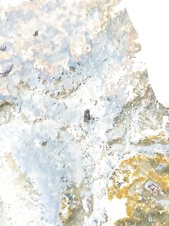 Нет неубиваемой резины: такие зубы съедят всё — спасает только частая замена и дисциплина