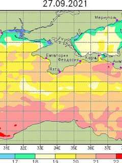 Про раннего саргана: температура воды отличается от Крыма
