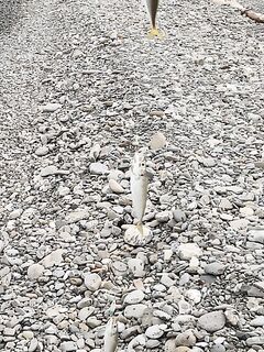 Окно перед темнотой: один луфарик — и всё, до и после пусто