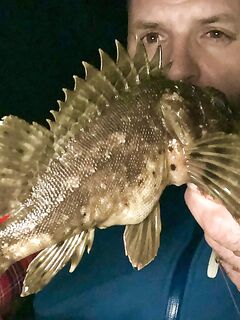 Сочи против Абхазии: ночи до двух и одна утрянка — горбыля нет