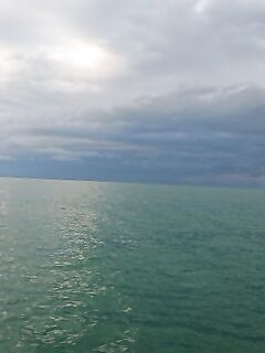 Вышел в море по месту: ветер крутил, ставрида мелкими косяками