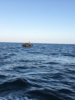 Севастополь: флотилии лодок, луфарь стеной, самодуры и «селёдочная» проводка рулят