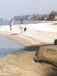 Утренний штиль без рыбы, днём раздует до 9 м/с: пара ставрид, четыре луфаря и кукушка