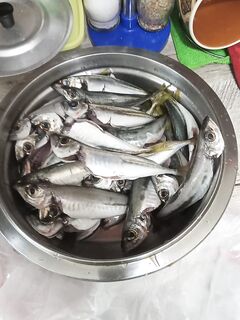 Жемчужина, 25 м: дедушки ведра набили, у меня скромнее — стаж решает