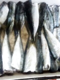 Дождик моросил, ставрида капризничала, но маринад уже ждёт в банке