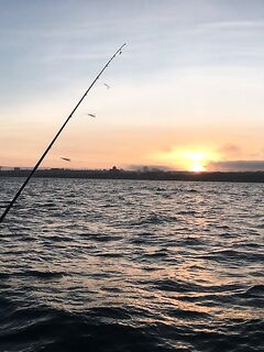 Последний выезд года: туман, северняк и пассивный луфарь, а ставрида с окунем держали темп