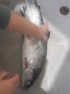 Дивноморское, отчёт со слов знакомого: отметка по состоянию берега и активности