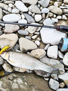 Чёрное море без ставриды и барабули, рыбалка буксует: держим паузу и ждём подхода