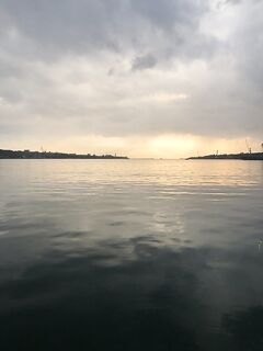 Севастополь, Голландия 16–24: Daiko NOCTURNE S65ULS, 1.5–2 г, ночью размер вырос