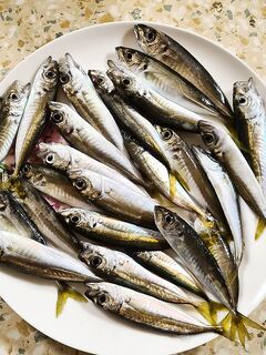 Лазаревская дождалась: первая мелкая — долгожданная отметка сезона