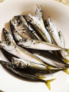 Вечерний коридор 21–23: редкие поклёвки держат в тонусе, дальше будет лучше