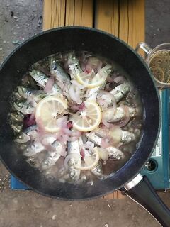 Новый Свет: ставридку и вялили, и тушили, и коптили — фото семье не показываю