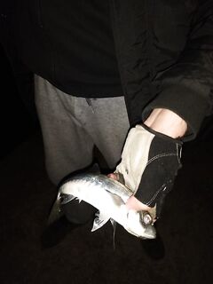 Севастополь: пелагика и светонакопительный слаг 1.5" — клюёт потихонечку