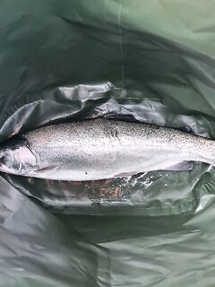 Пауза по барабуле: червя хватит, семья наелась; проверил беглянку — держится