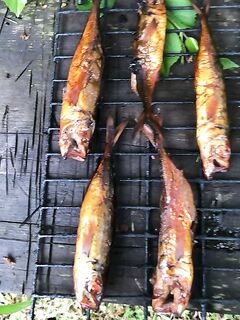 Вечерний выход: сказал — сделал, отмечаю рыбалкой коротким сетом перед ночи