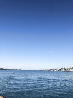 Голландия утром: мормо вместо МДЖ и десяток «кабанчиков» — адреналин щекочет