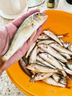 Утренний прострел на червя: протяжка с 6 до 9 — рабочая, без лишней суеты