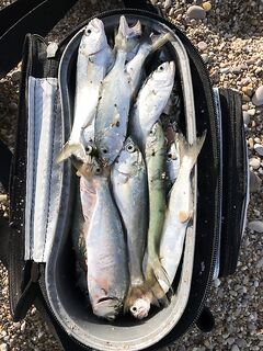 Балаклава и Любимовка: в октябре луфарик на воблеры, маршрут до «нудистского»