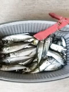 УЛ-«первая кровь»: ночной микроджиг, бомбарда тикт улетела, чебурашка тоже