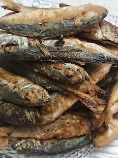 Субботний выход в море: ветер, волна, ставридка и барабулька на тягу с волнореза