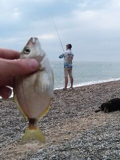 Ласкирь от Бахчисарая: место, резина и наука — общим итогом на большую коптильню