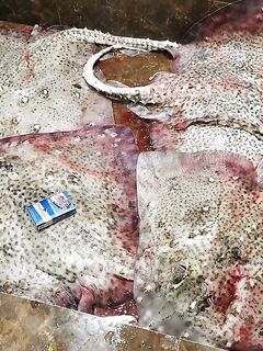 «Как крабовое»: багорик, контейнер и рецепт на банки от знакомого