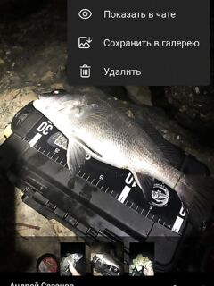 Сохранить в галерею: где прячется кнопка с тремя точками в верхнем правом углу