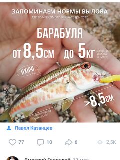 Горбылик близко к 35 см: полезная картинка по размерам — делюсь как есть