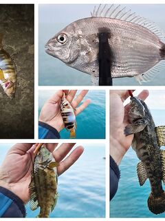 Фитопланктон замутил воду — рыбалка что попало, но кайф никто не отменял