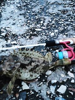 Морская рыбалка на Чёрном море: с пирса покидал, но камни слева и справа дали шанс