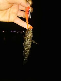 Короткие хвосты у «тиоги»: мелкий ассист спасает, но не всегда — мелочь обгрызает