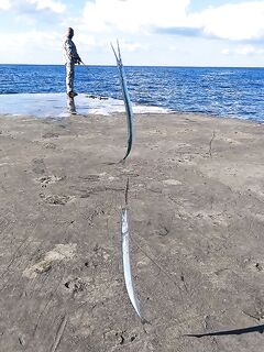 Муха перед пилькером: 35–40 см выше, короткий поводок — по ставриде ещё не тестил