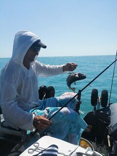 Напротив Джанхота: контрольная сессия по миграции и активности — фиксация по времени