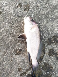 План на сегодня: какой участок берега проверить первым и что поставить на старте?