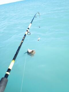 Трофей сфоткал и отпустил: без багорика и ведра рисковать лодкой не стал