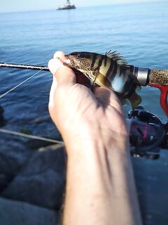 Неделя в «ГелнДЖИГе»: Голубая бухта, ловлю утром и вечером — режим найден