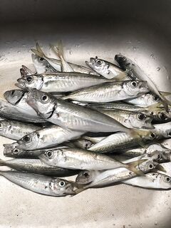 Июль по пилькерам: две потяжки, пауза; два подрыва, пауза — 90% на паузе