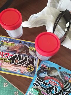 Марукю по банкам, раки на офсетники — выдвигаюсь в сумерки