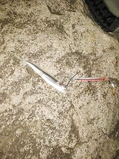 Пилькеры в деле: почему на мои железки кидаются «гиганты» и как это ловить