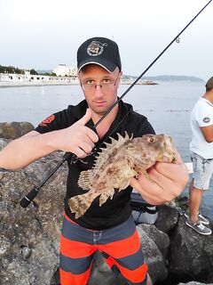 Вечерний сет: карась сдёргивал Marukyu, к закату подошла скорпена и «краб-пленник»