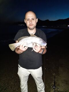 Судак, первый день отпуска и первый горбыль: можно ли брать и есть — уточняю